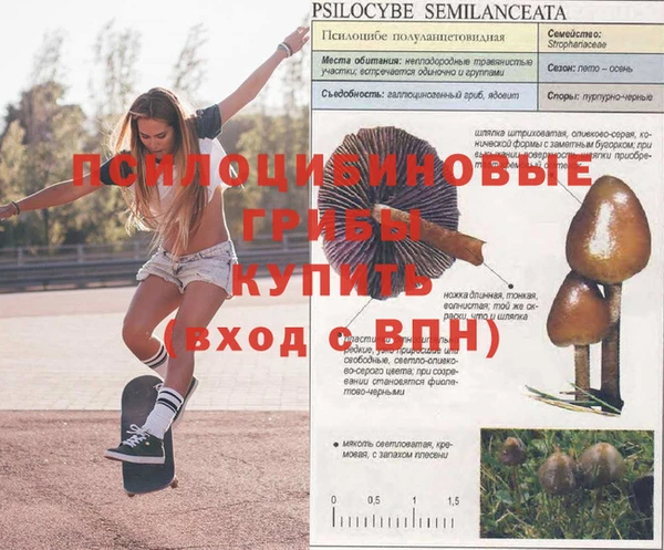 герыч Володарск